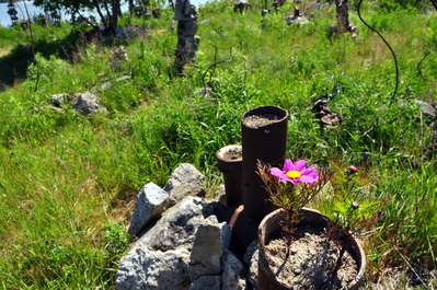 A flower pot on the Spit