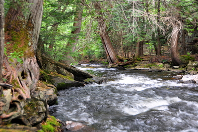 Downstream from the Waterfall