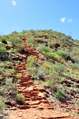 The hill we climbed at the start of the Kings Canyon ridge walk