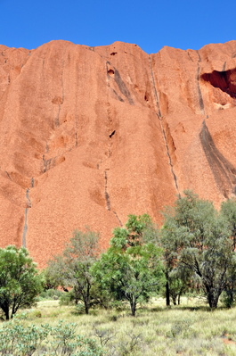 Too close to Uluru now to get all of it in, the dark markings are where water pours down the rock when it rains