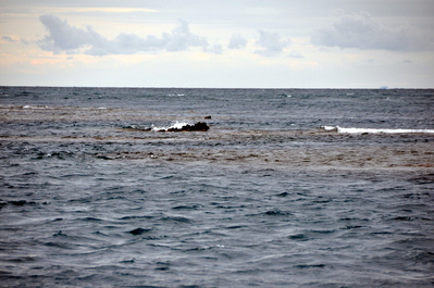 As the tide went out, parts of the reef poked above the water line