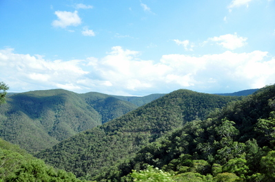 Blue Mountains near the caves