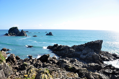 Lookout point at the seal colony