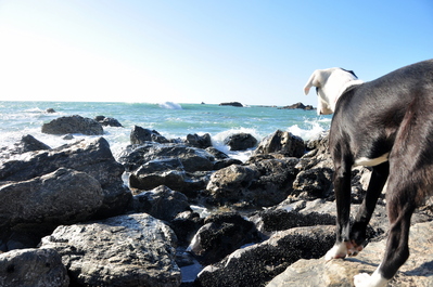 Jane making sure the ocean does not get away