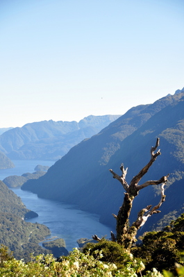 Brief stop we took on the shuttle bus to see a great view of Doubtful Sound