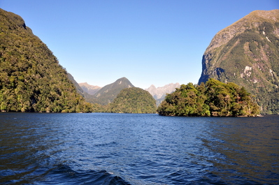 On Doubtful Sound