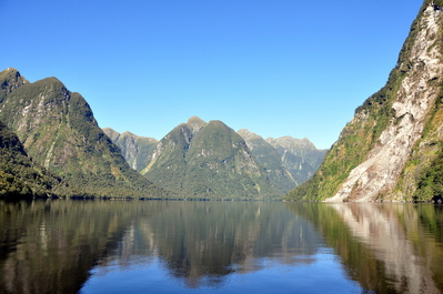 On Doubtful Sound, this is where we kayaked