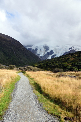 Walking in the area around Mt. Cook