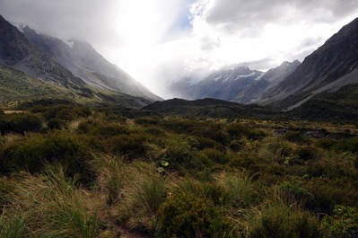 The perpetually shy and lovely Mt. Cook