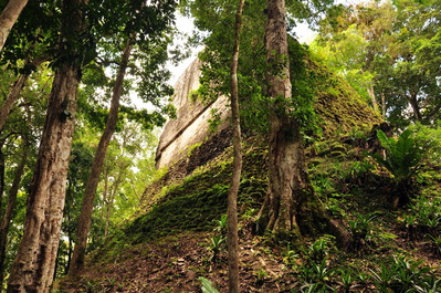 Partially excavated temple