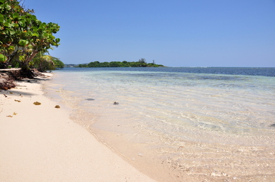 The beach at the resort