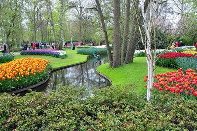 Keukenhof