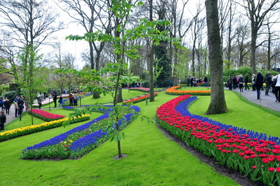 Keukenhof