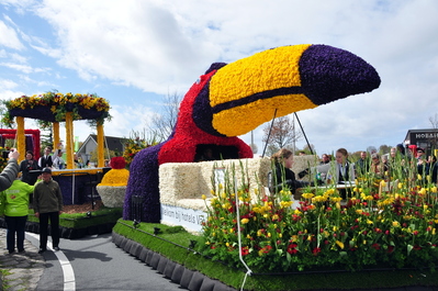 Bulb flower parade!