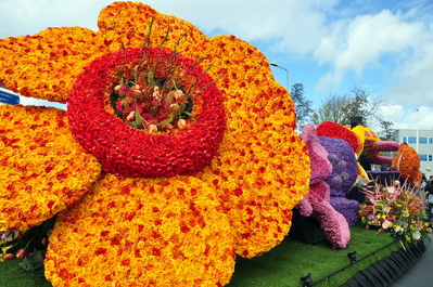 Bulb flower parade!