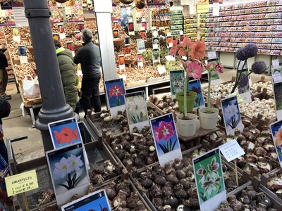 At Bloemenmarkt