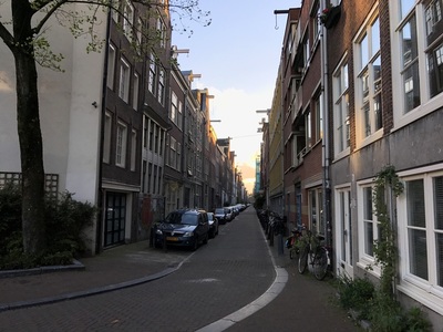 Amsterdam (non-canal) street at dusk
