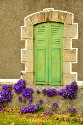 Shutters and flowers
