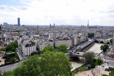 View of the city from Notre Dame