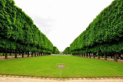 Jardin du Luxembourg (keep off the grass!)