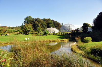 Domes of the botanical gardens