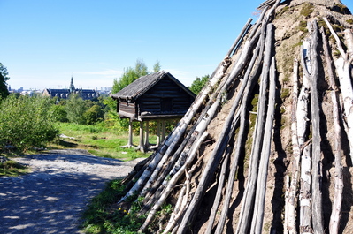 Indigenous huts