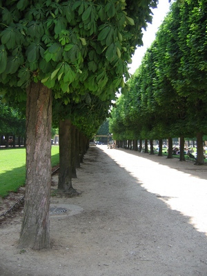 Trees along one of the entrance paths