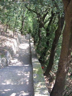 The path up the hill