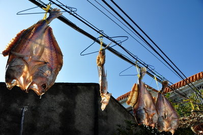 Fish drying in the Baishi Street area