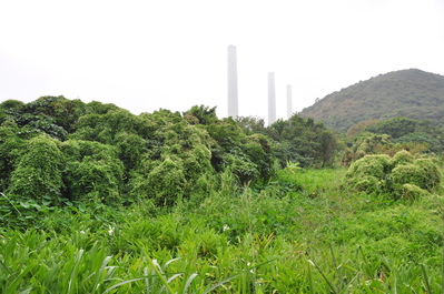 Lamma power station behind the hills
