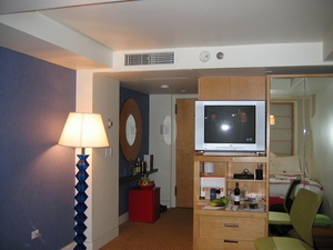 TV and entrance to my room in New York