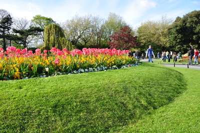 Trees and flowers at St. Stephen's Green