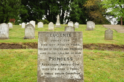 Final resting place of 'Eugenie' the Jersey Cow in the pet cemetery at Powerscourt