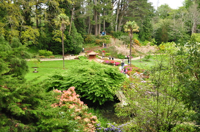 Overlooking the Japanese gardens at Powerscourt