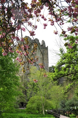 Closer to Blarney Castle