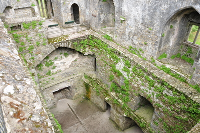 Inside of Blarney Castle