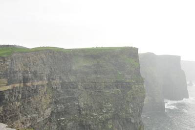 Cliffs of Moher with cows on top
