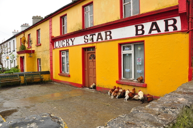 Lucky Star Bar, a bar for chickens?