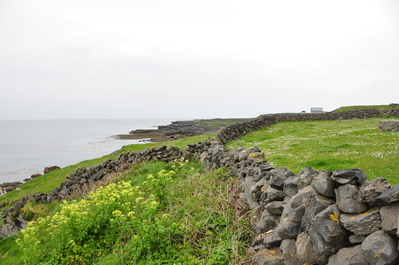 Rock wall fences on Inismor