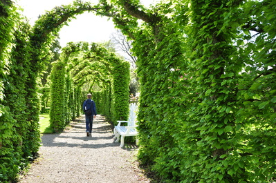 Green arches at Birr castle