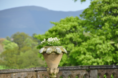 Random flowerpot and scenery outside the castle