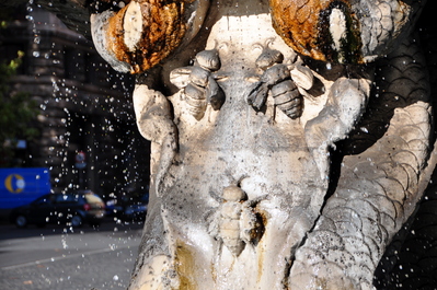 The three bees of Barbarini on the fountain