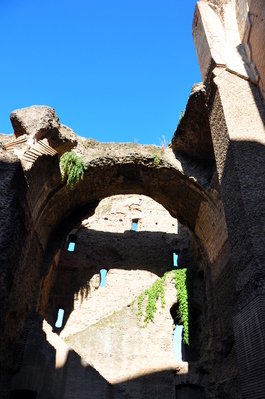 Inside the Baths of Caracalla