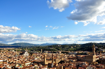 Florence from the top of the tower