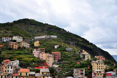 Terraced farms above Riomaggiore