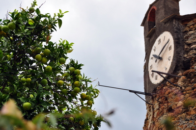 Lemon tree and clock tower at high point of Riomaggiore