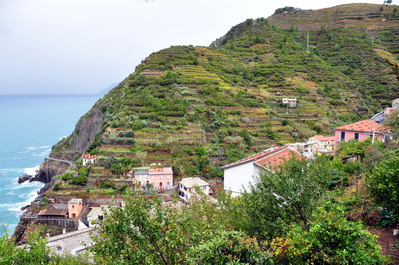 Terraced farms above Riomaggiore