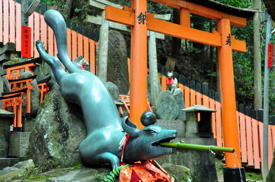Fox and torii at Fushimi Inari-taisha