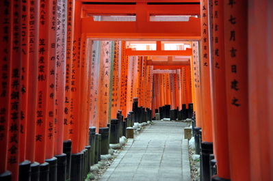 Torii at Fushimi Inari-taisha