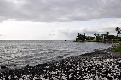 Sea turtle beaching area